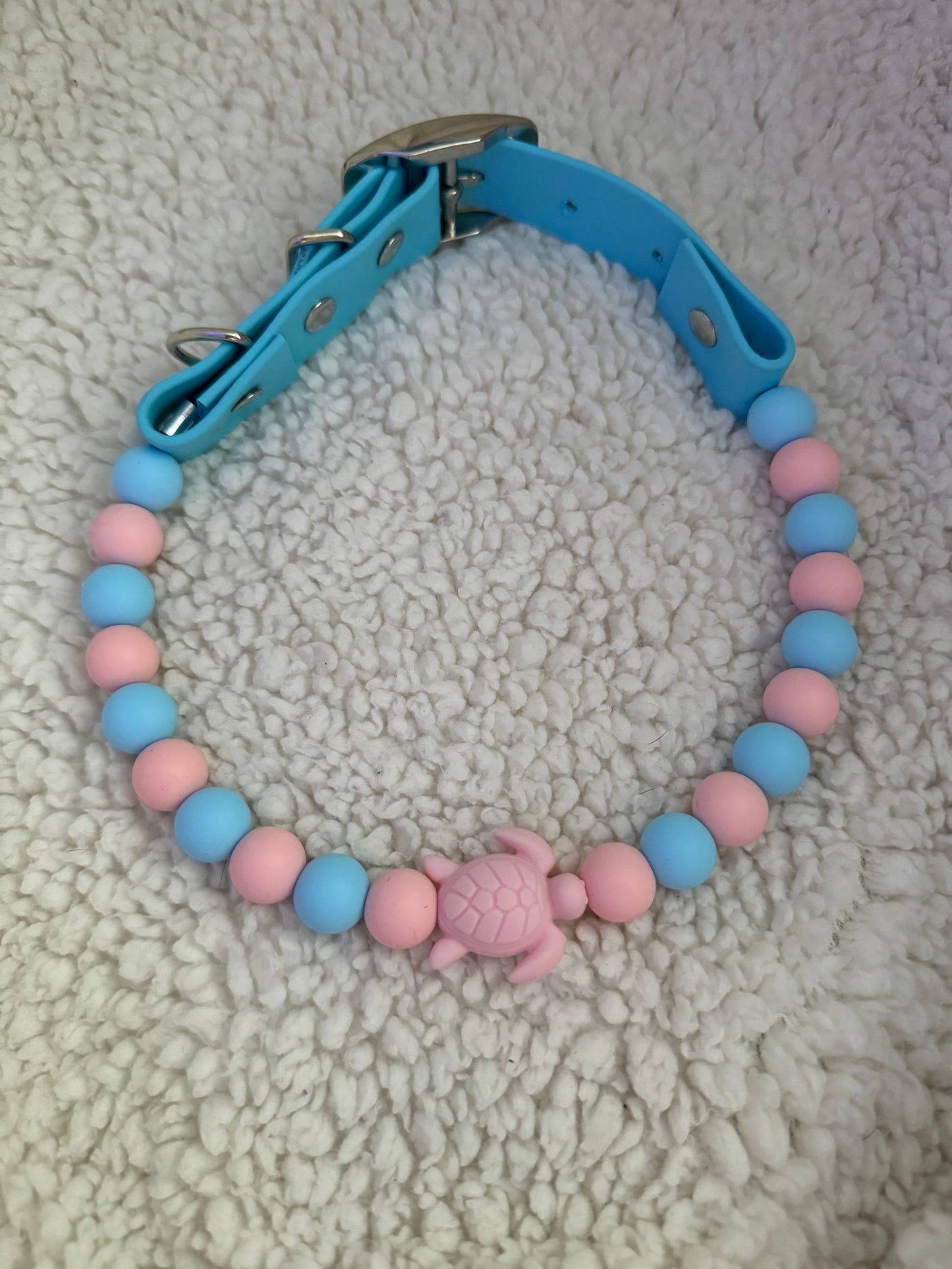 Turtley Magical Blue (Premade)