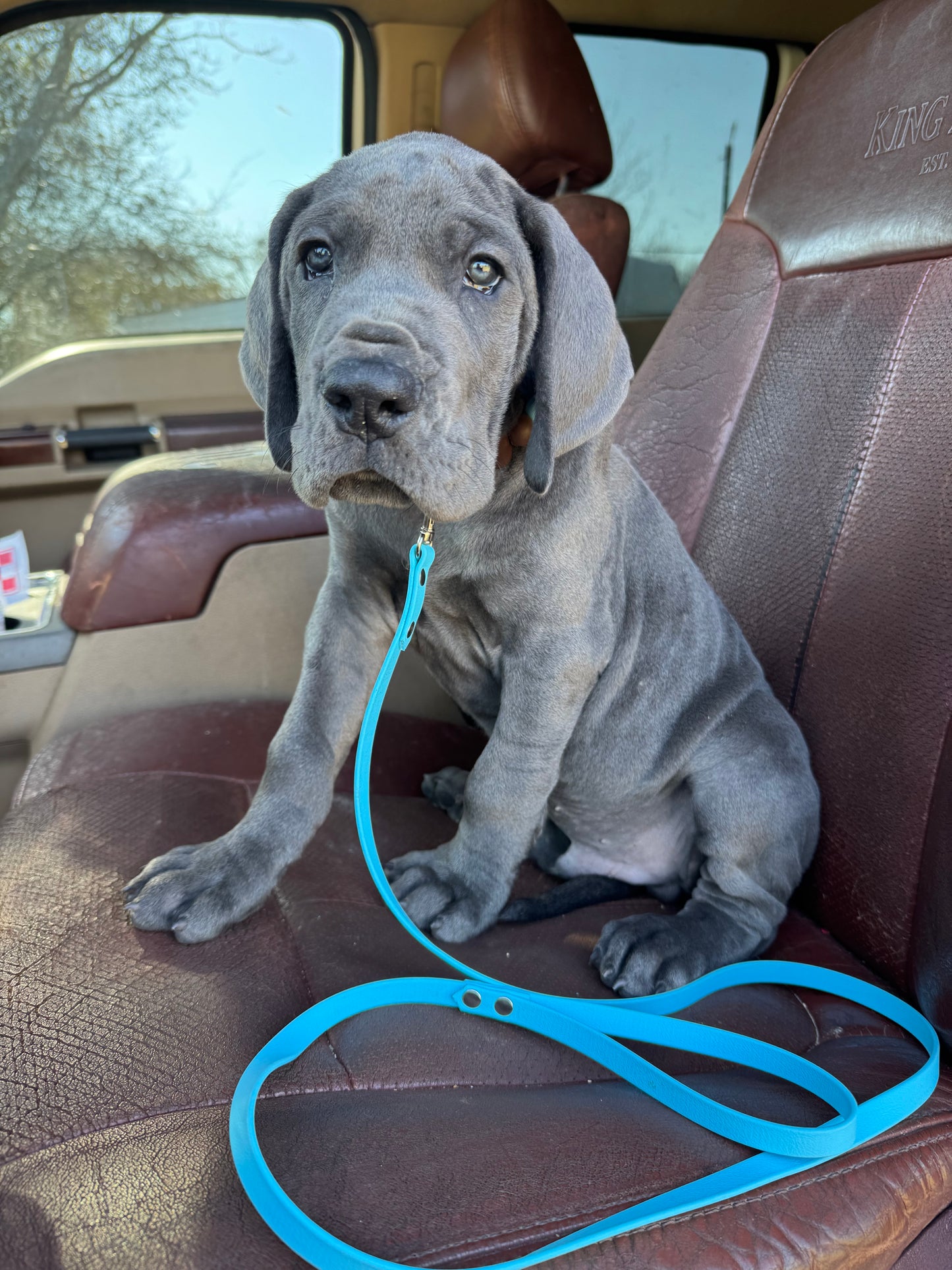 1/2 inch Biothane Leash
