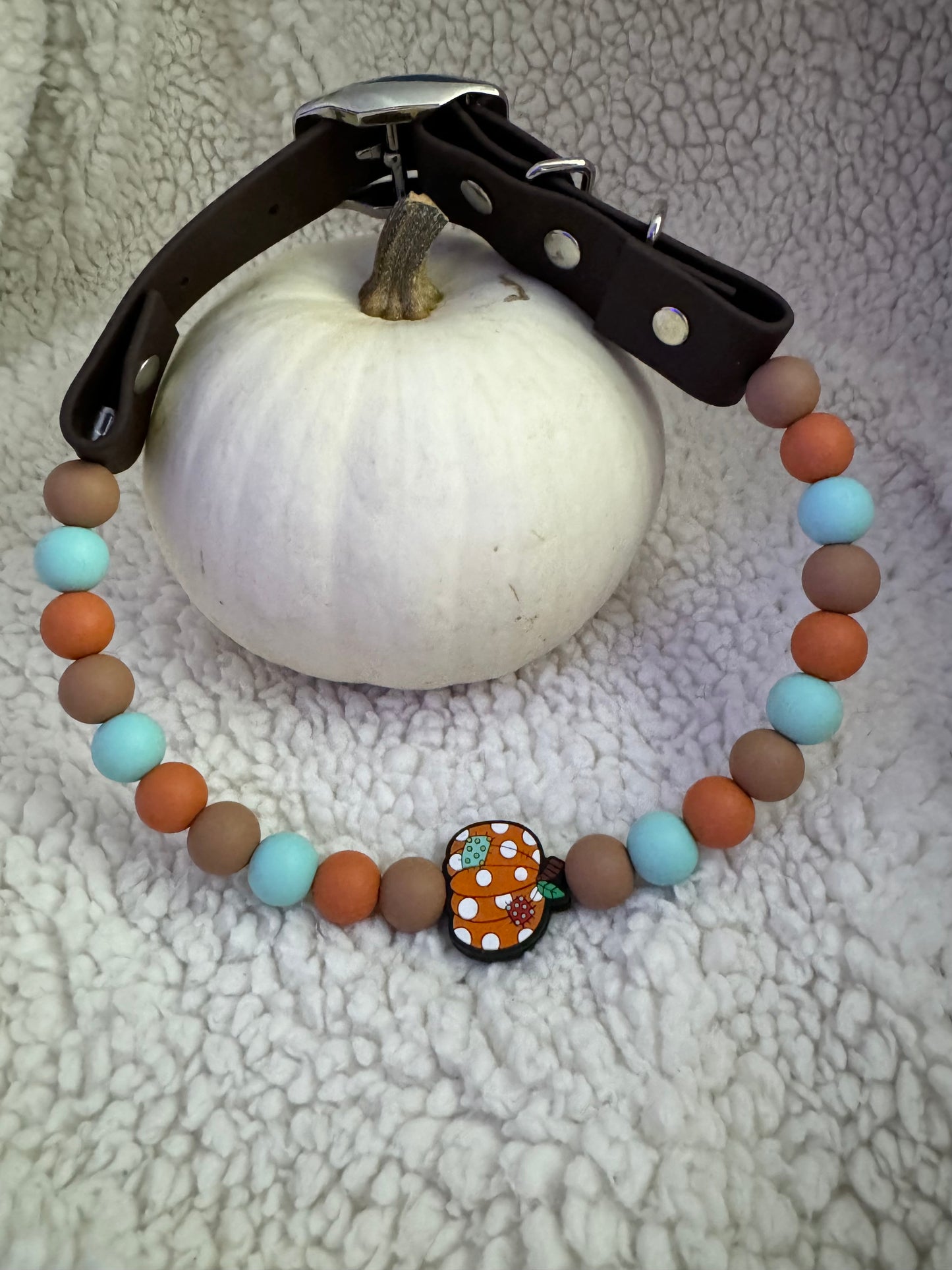 Pumpkin Patch