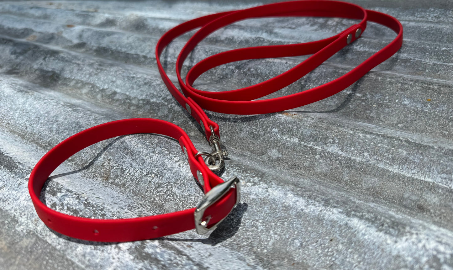 Collar and Leash Bundle 1/2inch