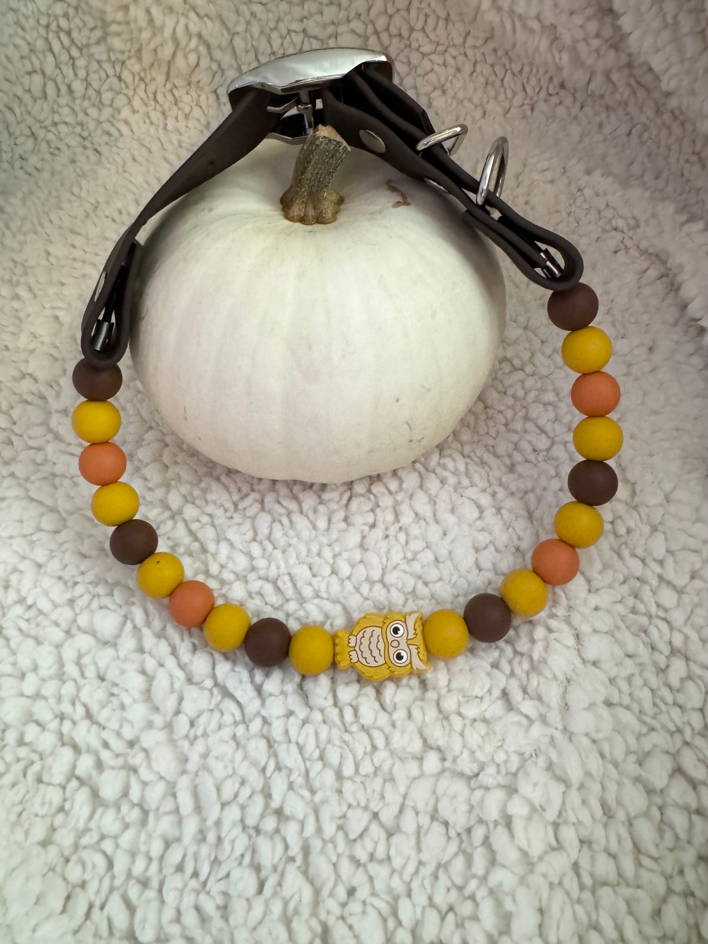 Fall Owl 1