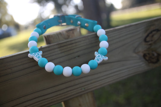 Two Toned Cow w/ white