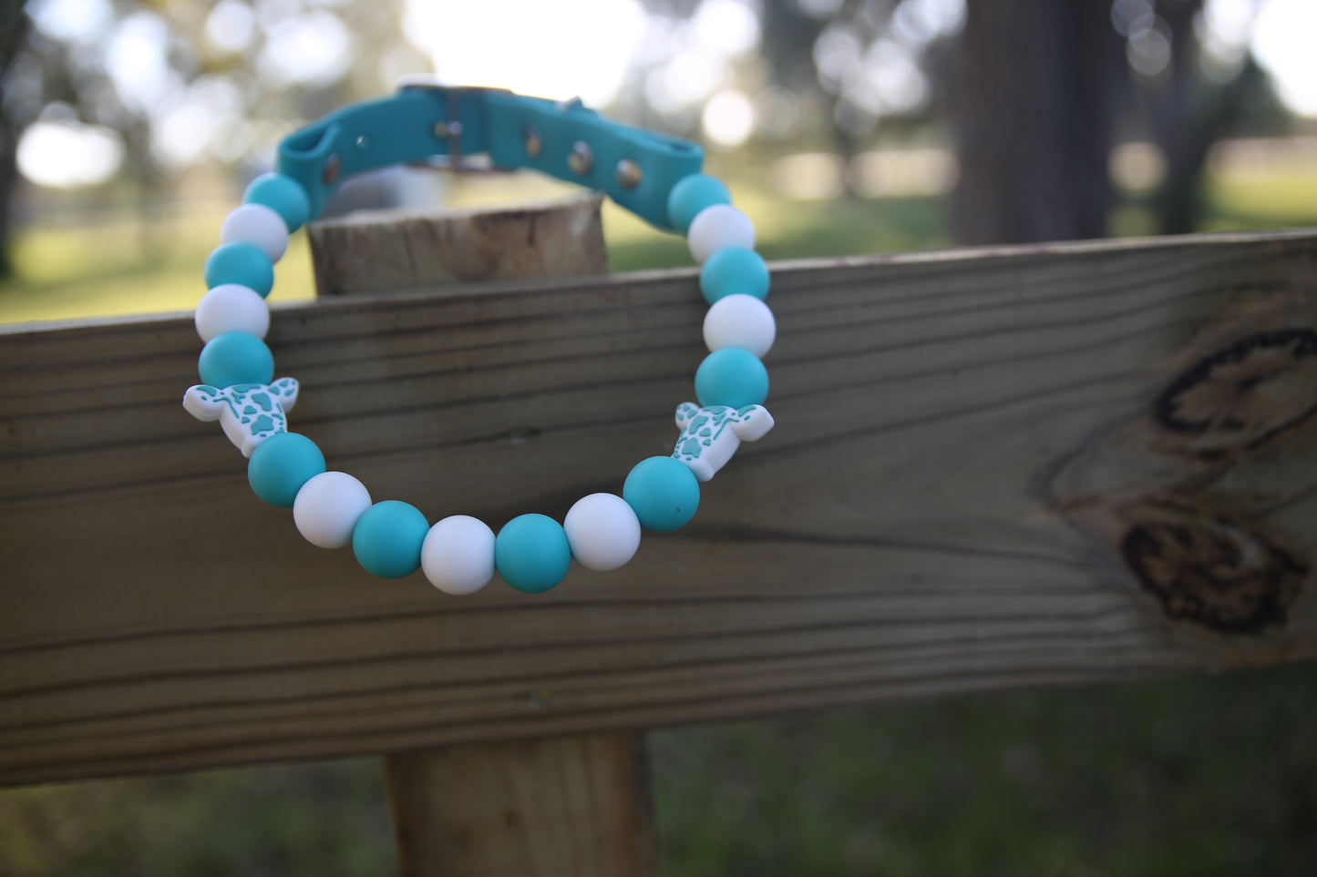 Two Toned Cow w/ white