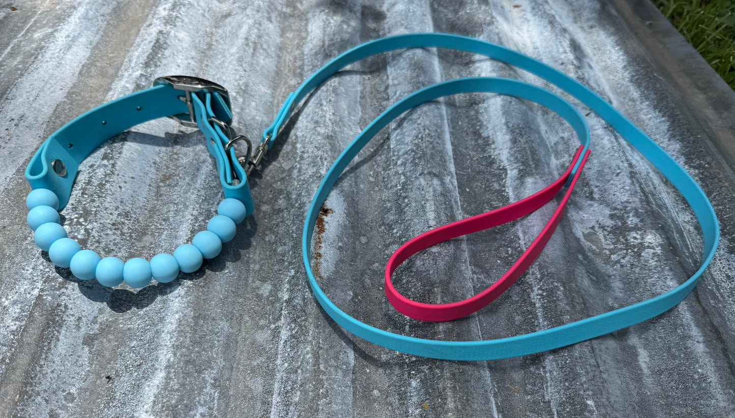 1 inch Beaded Collar and 1/2inch Leash Bundle