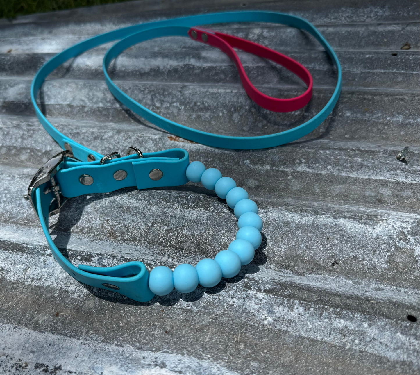 1 inch Beaded Collar and 1/2inch Leash Bundle