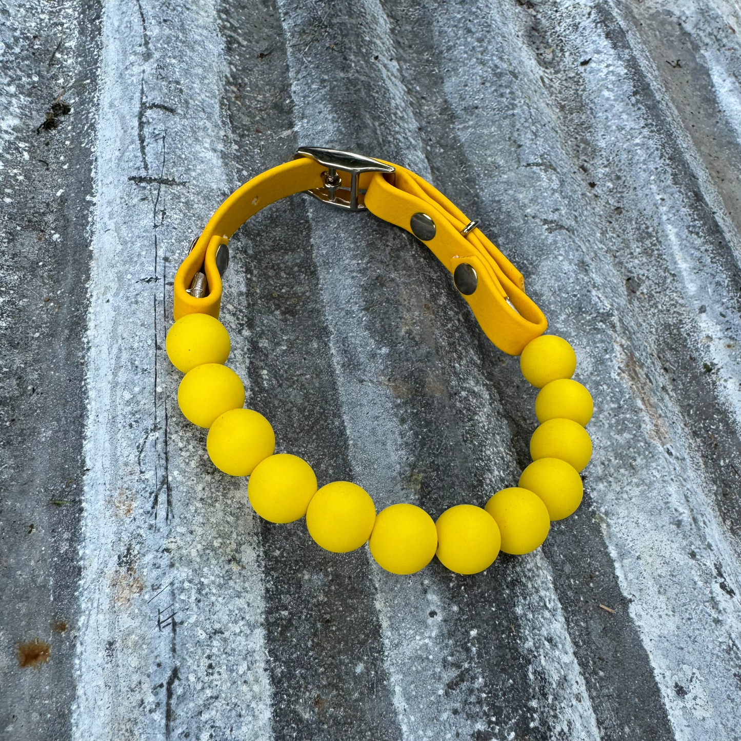 Beaded Collar and Leash Bundle 1/2inch